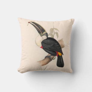 Coussin Peinture animalière d'antiquités Toucans