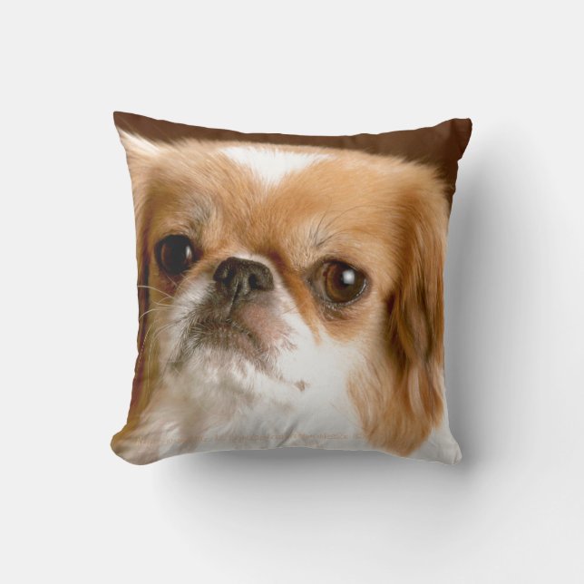 Coussin "Pekingese" (Recto)