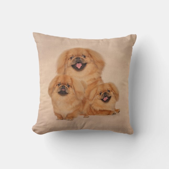 Coussin Pekingese poursuit le collage (Recto)