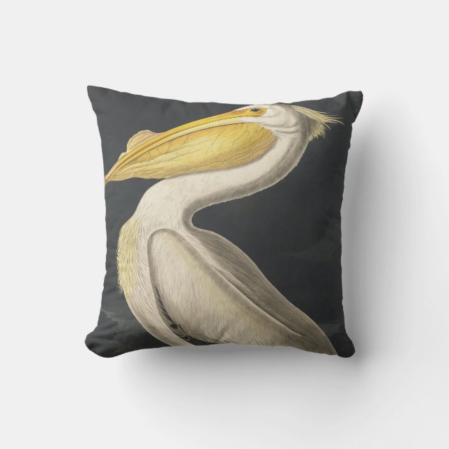 Coussin Pélican blanc américain des oiseaux d'Amérique (Recto)