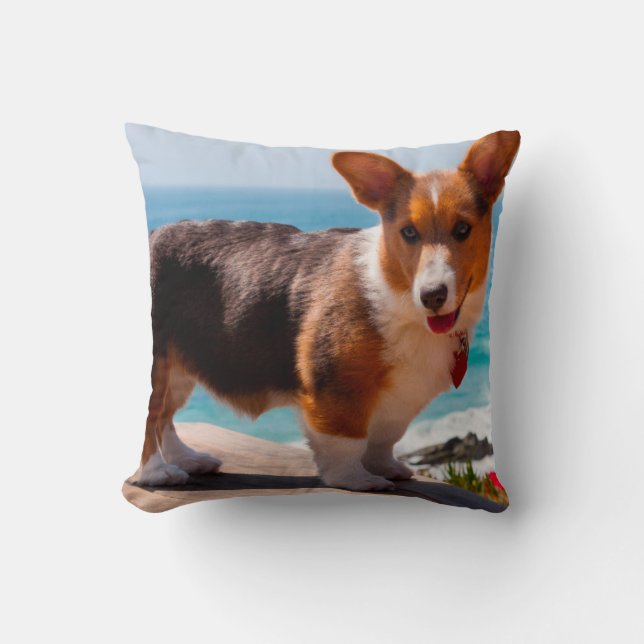 Coussin Pembroke Welsh Corgi puppy standing on table (Recto)