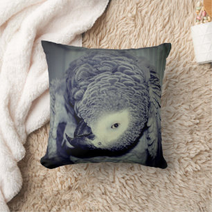 Coussin Perroquet gris d'Afrique mignonne Oiseau 2  