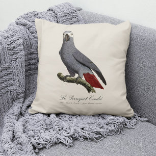 Coussin Perroquet gris, Psittacus erithacus, vintage