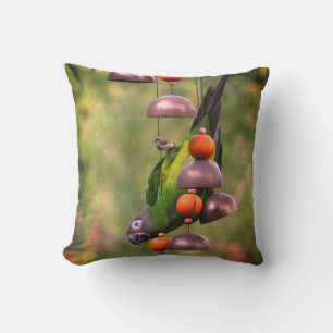 Coussin Perroquet transparent à tête large vers le bas