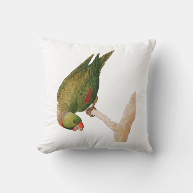 Coussin Perroquet vert rouge (Recto)
