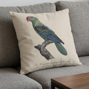 Coussin Perruche à gros bec, Tanygnathus megalorynchos
