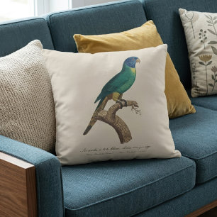 Coussin Perruche a tete bleue / Rainbow lorikeet, juvénile