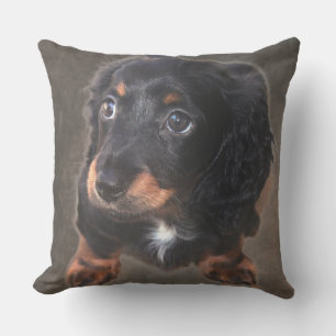 Coussin personnalisé de la photo du chiot Dachshun