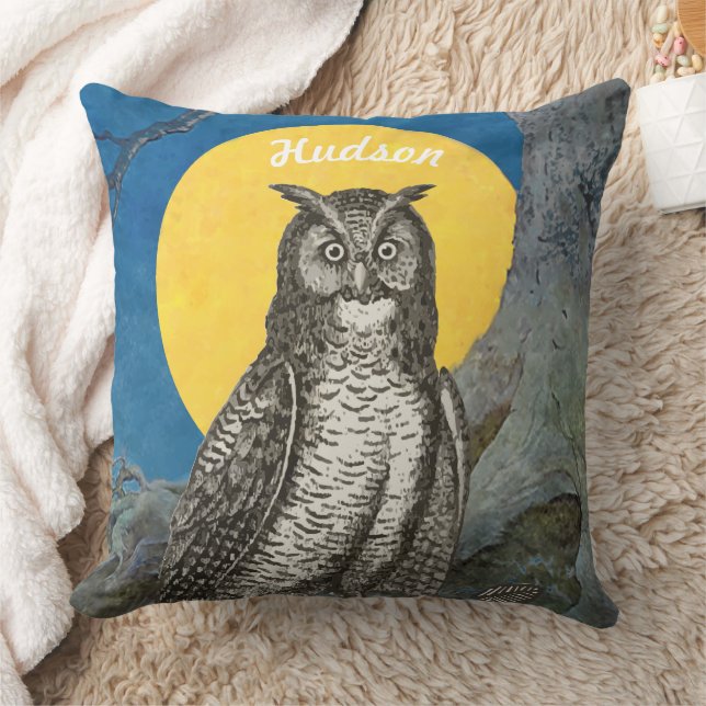 Coussin Personnalisé Nouveau bébé garçon's Room Cute Owl (Couverture)
