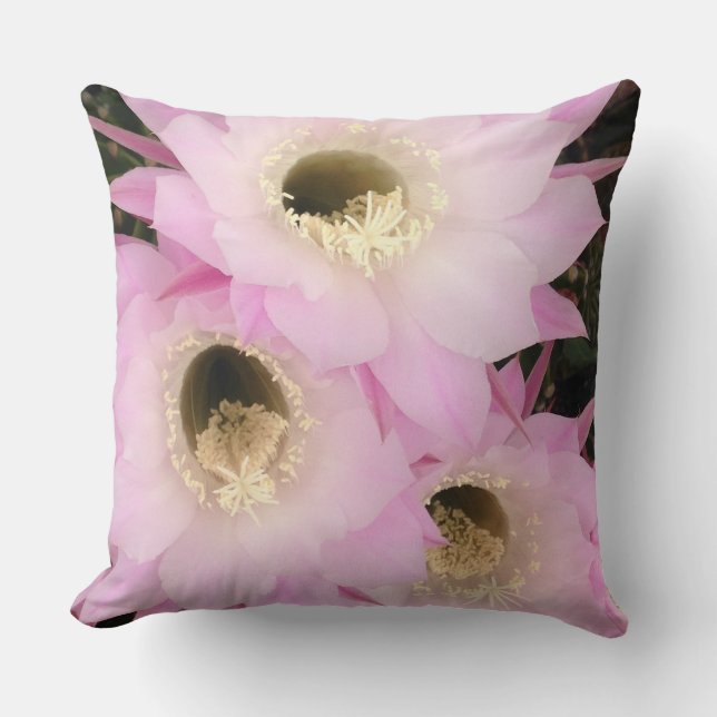 Coussin pétales roses du désert (Recto)