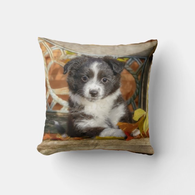 Coussin Petit Chien-Chien-Chien-Chien-Chien-Chien-Chien-Ch (Recto)