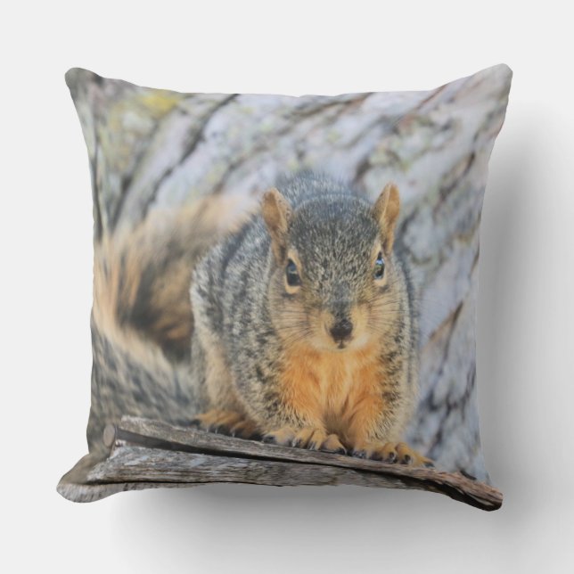 Coussin Petit écureuil (Recto)