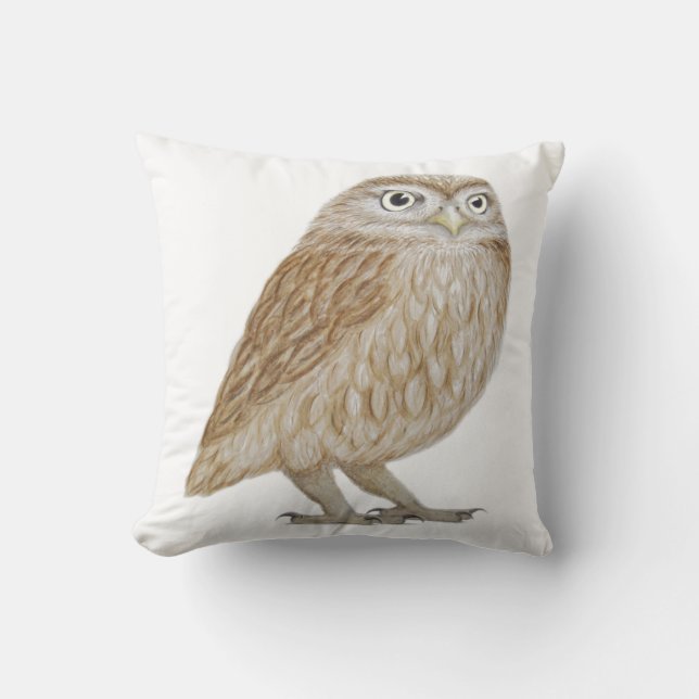 Coussin Petit hibou 2011 (Recto)