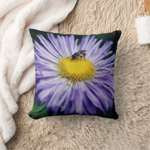 Coussin Petite Abeille Sur Fleur Aster Violet