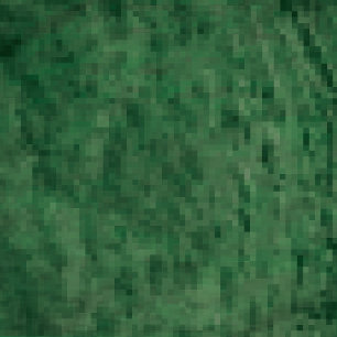 Coussin petite laitue