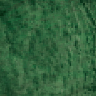 Coussin petite laitue