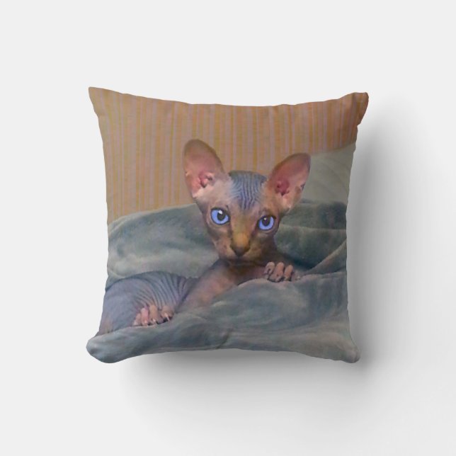 Coussin Peu de chaton gris de Sphynx (Recto)