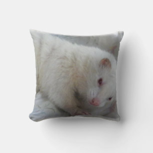 Coussin Photo Albino Ferret