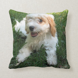 Coussin photo Cavachon customisé, Chien