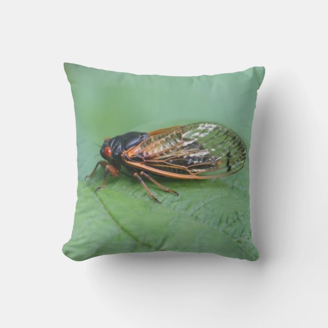 Coussin Photo Cicada (Recto)