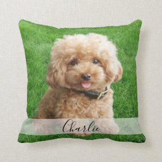 coussin photo complet personnalisé pour animaux de
