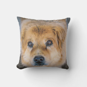 Coussin Photo Cute Dog