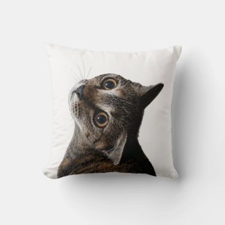 Coussin Photo de gros plan de chat tabby mignon