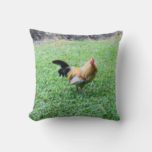 Coussin photo de poule hawaïenne