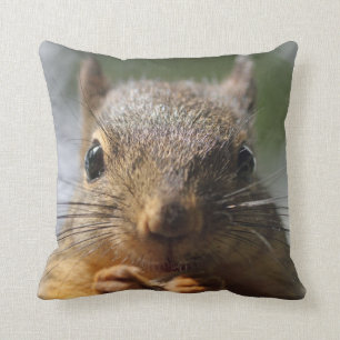 Coussin Photo de sourire d'écureuil mignon