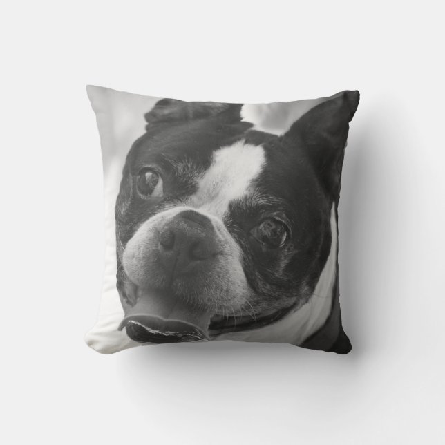 Coussin Photo de terrier de Boston (Recto)