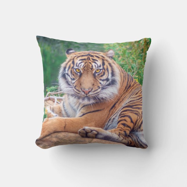 Coussin Photo de tigre étonnante (Recto)