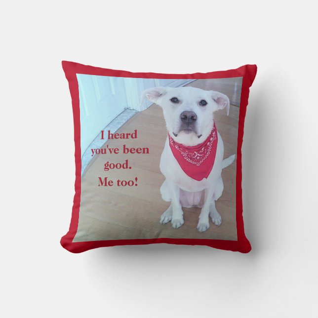 Coussin Photo d'un chien mignon avec un bâton amusant hors (Recto)