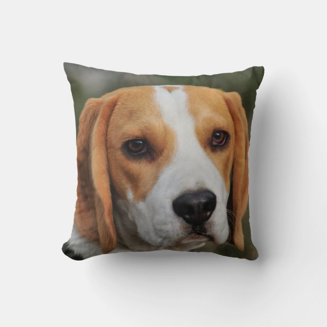Coussin Photo faite sur commande de chien de beagle (Recto)