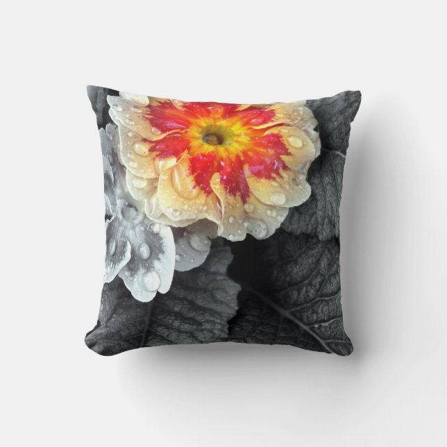 Coussin Photo Fiery Primrose (Recto)