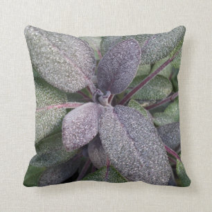 Coussin Photo moderne d'herbe de jardin de sauge pourpre