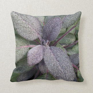 Coussin Photo moderne d'herbe de jardin de sauge pourpre