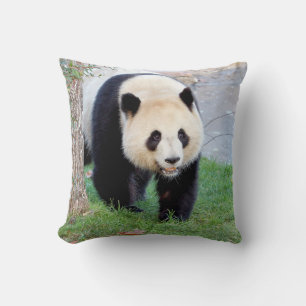 Coussin photo panda géant 5. lancer oreiller