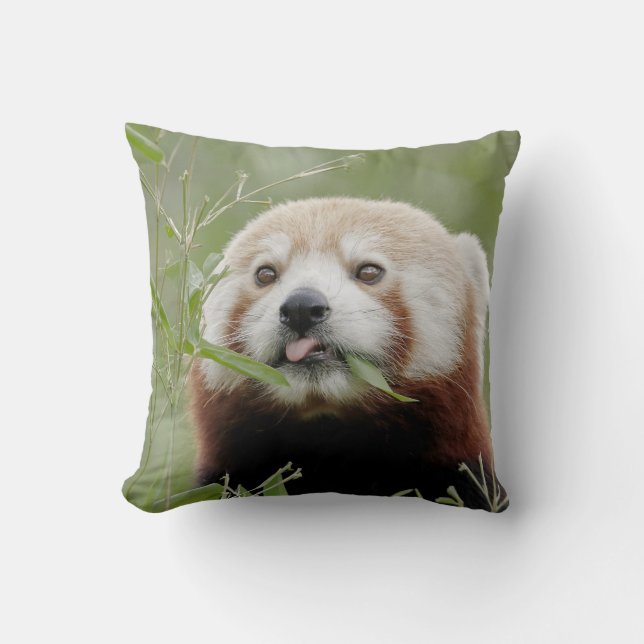 Coussin photo panda rouge. (Recto)