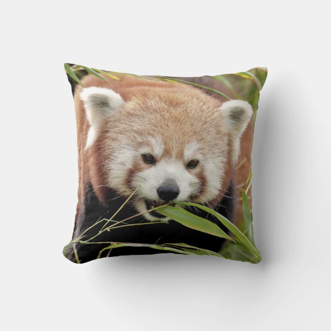 Coussin photo panda rouge. (Recto)
