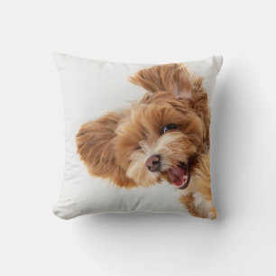 Coussin Photo pour animaux de compagnie personnalisés, Paw