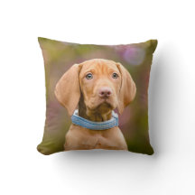 Photo puppyeyed mignonne de chiot de chien de