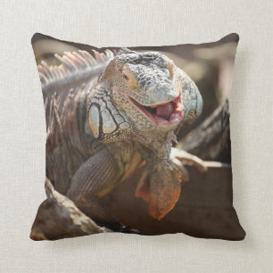 Coussin Photo riante d'iguane