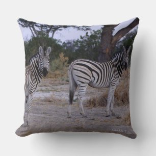 Coussin Photo Zebra Double Take