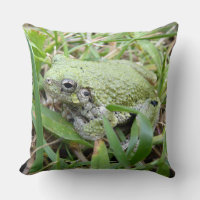 Photographie de la nature de la grenouille arboric