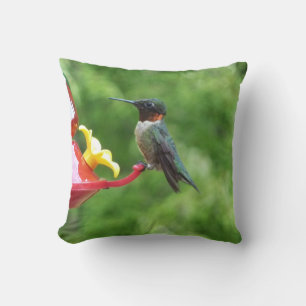 Coussin Photographie d'oiseau Colibri à gorge rubis