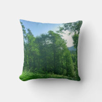 Photographie du paysage de la forêt verte