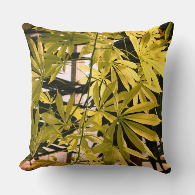 Coussin Photographie Feuille plante (Recto)