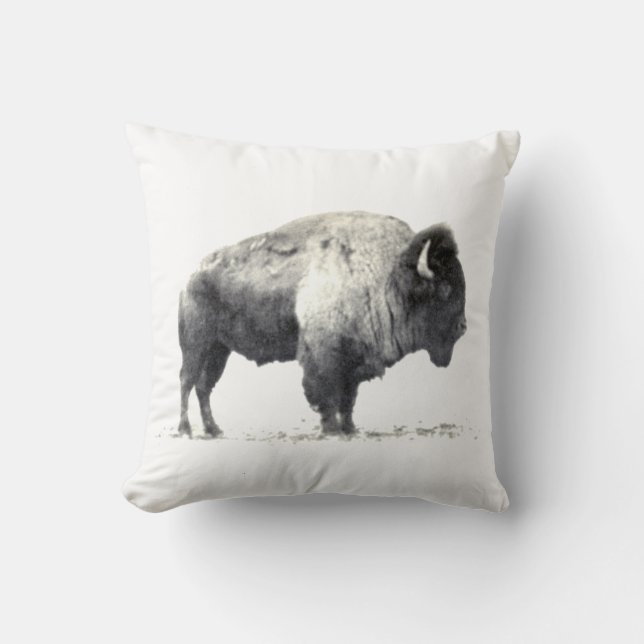 Coussin Photographie historique du bison américain (Recto)