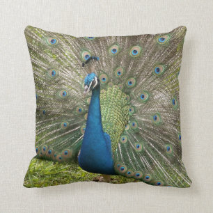 Coussin Pic