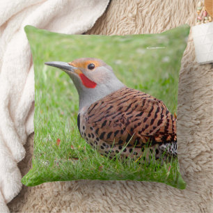 Coussin Picteur boréal époustouflant en train de fourrager